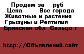 Продам за 50 руб. › Цена ­ 50 - Все города Животные и растения » Грызуны и Рептилии   . Брянская обл.,Сельцо г.